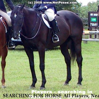 SEARCHING FOR HORSE All Players, Near Lakewood, NJ, 00000
